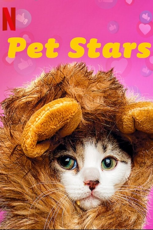 Pet Stars : 1.Sezon 4.Bölüm