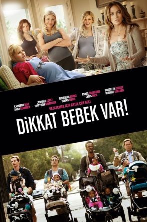 Dikkat Bebek Var! izle (2012)
