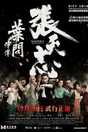 Usta Z: Ip Man’in Mirası izle