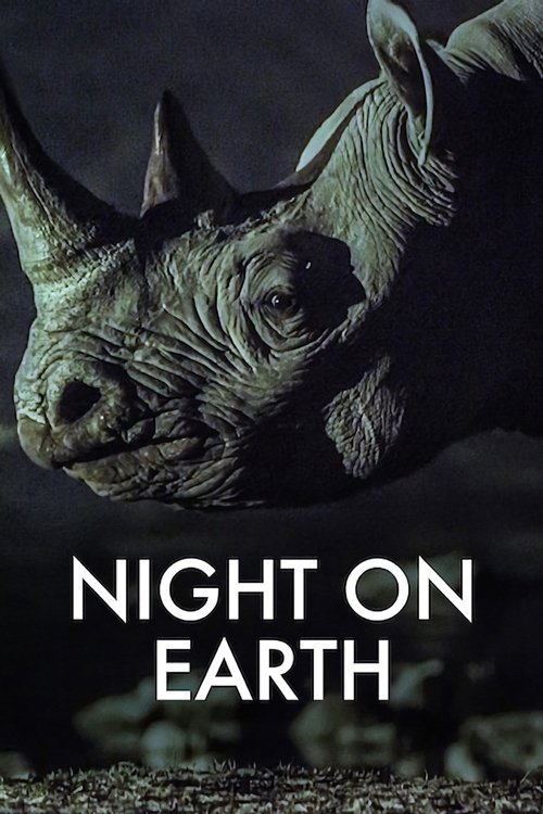 Night on Earth : 1.Sezon 6.Bölüm