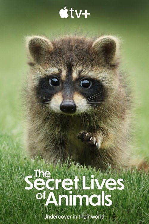 The Secret Lives of Animals : 1.Sezon 7.Bölüm