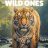The Wild Ones : 1.Sezon 4.Bölüm izle