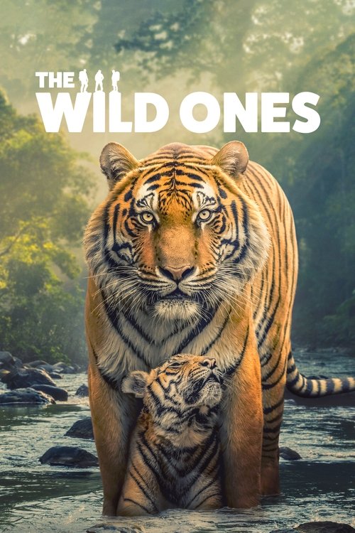 The Wild Ones : 1.Sezon 4.Bölüm