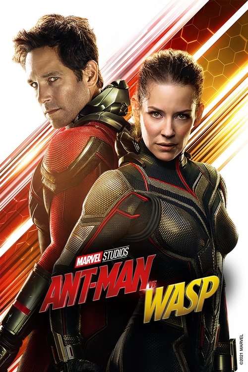 Ant-Man ve Wasp izle (2018)