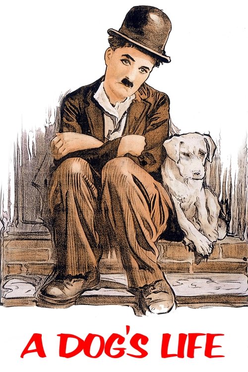 Bir Köpeğin Hayatı izle (1918)