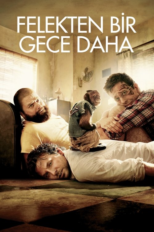 Felekten Bir Gece Daha izle (2011)