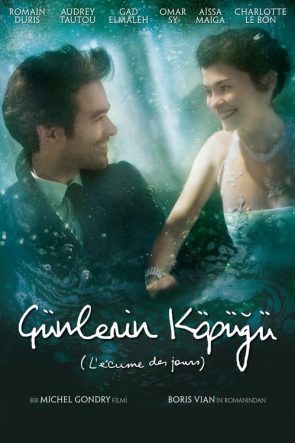 Günlerin Köpüğü izle (2013)