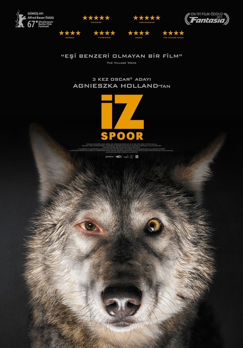 İz izle (2017)