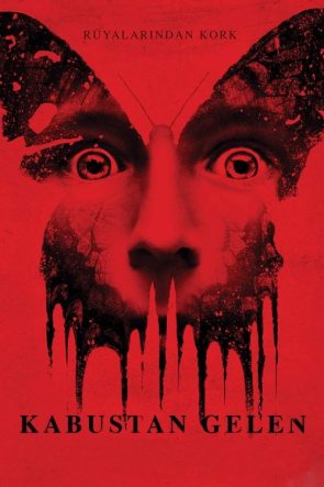 Kabustan Gelen izle (2016)