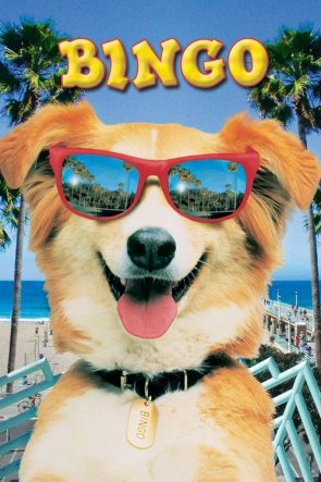 Kahraman Köpek Bingo izle (1991)