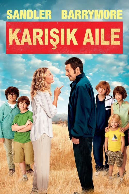 Karışık Aile izle (2014)