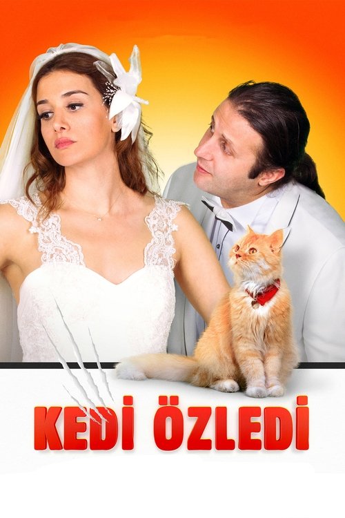 Kedi Özledi izle (2013)