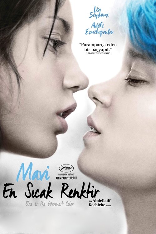 Mavi En Sıcak Renktir izle (2013)