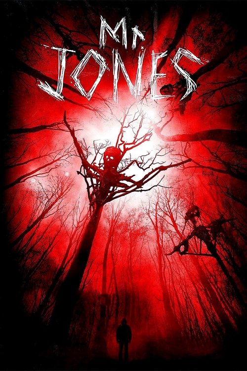 Mr. Jones izle (2013)
