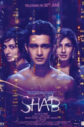 Shab izle (2017)